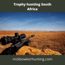 African Hunting Packages Plains Game Hunting GIF - African Hunting Packages Plains Game Hunting Africa Hunting GIFs