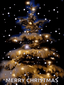 Christmas Lights GIF - Christmas Lights Tree GIFs