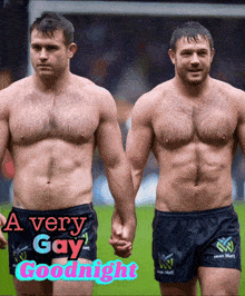 two shirtless men holding hands with the words a very gay goodnight on the bottom