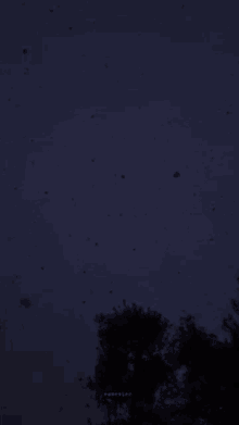 a tree is silhouetted against a dark blue sky