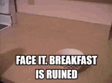 a bowl of cereal sits on a counter with the words face it breakfast is ruined