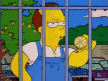 Shelbyville Lemons - The Simpsons GIF
