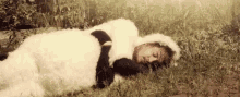 a person in a sheep costume laying in the grass