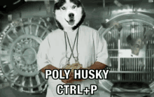 Polygon Polyhusky GIF - Polygon Polyhusky GIFs