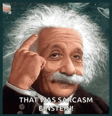 Albert Einstein Lol GIF - Albert Einstein Lol Think GIFs