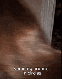 Spin GIF - Spin GIFs