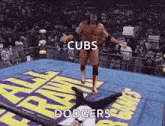 a wrestling match between the cubs and the dodgers is going on in a ring .
