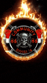 a skull and crossbones in a circle of flames with the words community division 86 86