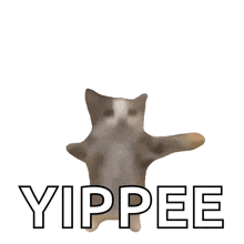 a picture of a cat with the word yippee written below it