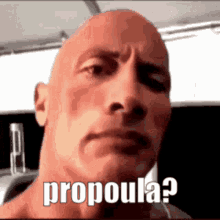 Prop Propoula GIF - Prop Propoula GIFs
