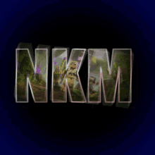 Nkm Serwer GIF - Nkm Serwer Discord GIFs