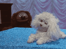a stuffed animal is sitting on a blue blanket