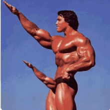 Schwarzenegger Muscle GIF - Schwarzenegger Muscle Salute GIFs