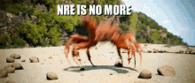Nre Night Raid Esports GIF - Nre Night Raid Esports Crab Rave GIFs