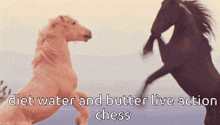Diet Water And GIF - Diet Water And Butter GIFs