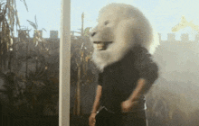 Thumbs Up Yes GIF - Thumbs Up Yes Lion GIFs