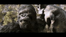 Trex Dinosaur GIF - Trex Dinosaur King Kong GIFs