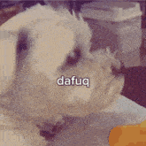 a small white dog with the word dafug written on it