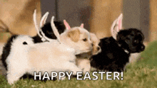 Happy Easter Easter Love GIF - Happy Easter Easter Love Bunny GIFs