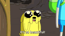 Mesmerized GIF - Jake Adventure Time Beautiful GIFs