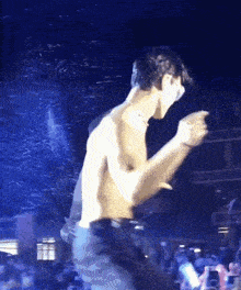 a shirtless man is dancing on a stage in front of a crowd at a concert .