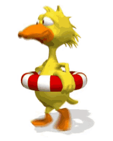 Duck Rescue GIF - Duck Rescue Float GIFs