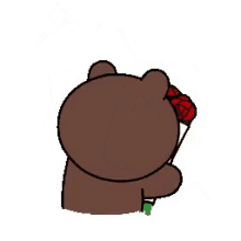 Bear Flowers GIF