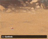elderblake sent out lilligant and carbink in a video game