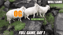 Wolf Game Wool GIF - Wolf Game Wool Nftech GIFs
