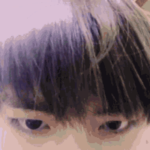 a close up of a person 's face with purple hair and green streaks .