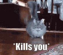 Cat Kill GIF - Cat Kill You GIFs