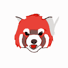 red panda