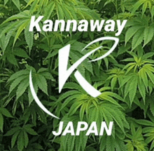 Yukoimai Kannaway GIF - Yukoimai Kannaway GIFs