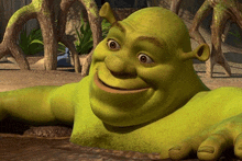 Shrek And Fiona GIFs