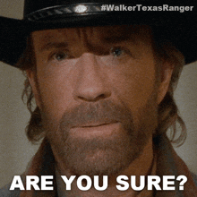 Are You Sure Cordell Walker GIF - Are You Sure Cordell Walker Walker Texas Ranger GIFs