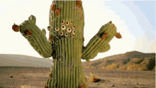 cactus-many-eyes.gif