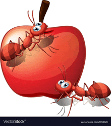 two ants are standing next to an apple on a white background .
