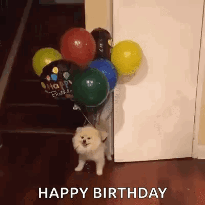 Happy Birthday Animal GIFs