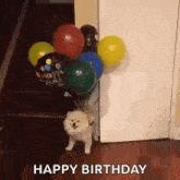 Balloon Dog GIF