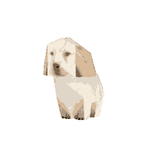 quieres dog low poly animated dog 3d animation quieres