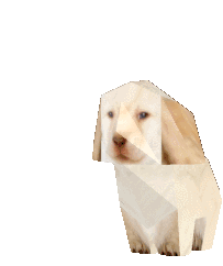 Quieres Dog Low Poly Sticker - Quieres Dog Low Poly Animated Dog Stickers