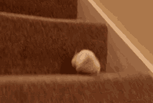 Mouse Running GIF - Mouse Running Cute GIFs