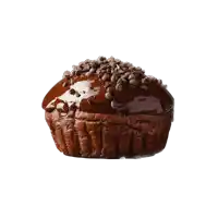 a chocolate muffin with chocolate chips on top