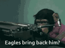Monkey Eagles Bring Back Him GIF - Monkey Eagles Bring Back Him Chimp Typing GIFs