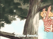 candy candycandy