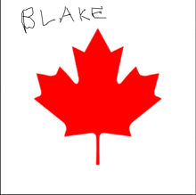 a red maple leaf has the name blake written below it