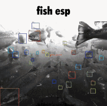 Fish Esp Fish GIF - Fish Esp Fish Esp GIFs