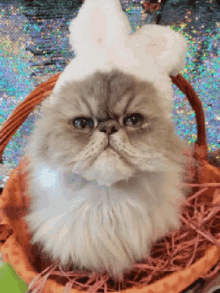 Easter Kitty GIF - Easter Kitty Cat GIFs