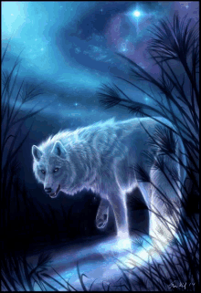 Wolf Artic GIF - Wolf Artic GIFs