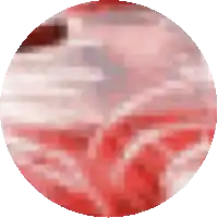 a red and white circle with a blurred background
